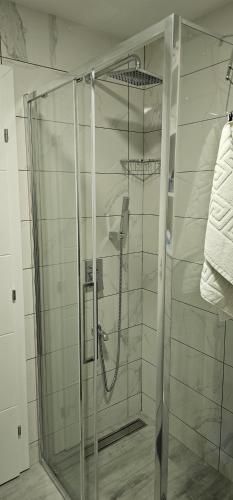 a shower with a glass door in a bathroom at Apartman Dunja in Banja Koviljača