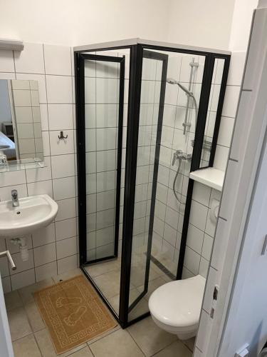 Koupelna v ubytování Alba Vendégház