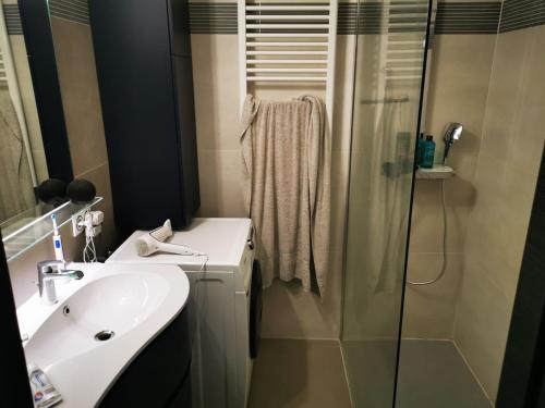 une salle de bain avec un lavabo et une douche dans l'établissement Olympiades, à Annecy