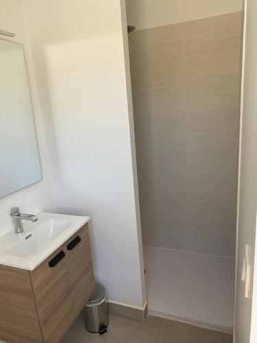 une salle de bain avec un lavabo et une douche dans l'établissement T2 cosy et au calme, à Saint-Rémy-de-Provence