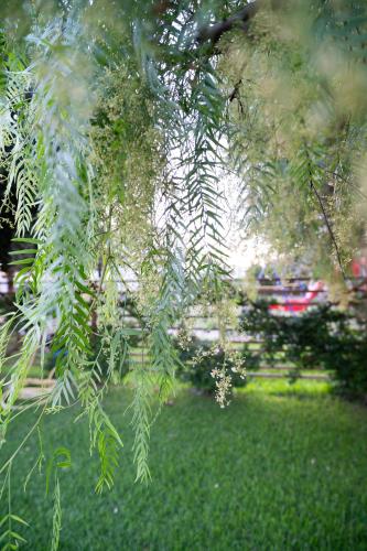 Giardino di B&B La Melagrana