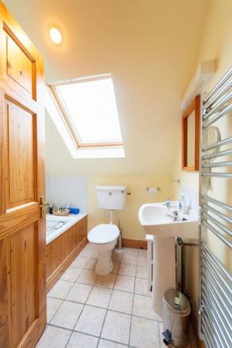 a bathroom with a toilet and a sink and a skylight at Dingle Town Cottage - Tigh Peig in Dingle