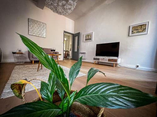 un salon avec une plante en pot et une télévision dans l'établissement Anna Maria - Vieille ville, City trip - by TGB, à Ajaccio