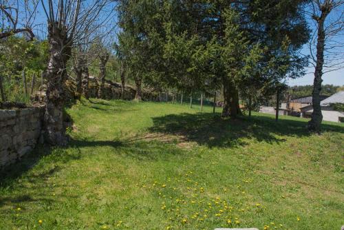 a field of grass with trees and yellow flowers at Gîte Gîte 4/6 personnes à Couffinet in Sainte-Colombe-de-Peyre