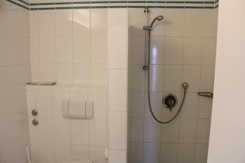 a shower in a bathroom with a toilet at Lauenburger Mühle in Lauenburg