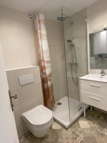 une salle de bain avec une douche, des toilettes et un lavabo dans l'établissement La Grande-Motte Appt 4 personnes terrasse et parking privé, à La Grande Motte