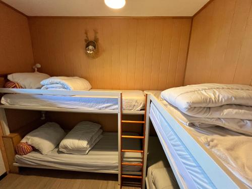 Kleines Zimmer mit 2 Etagenbetten und einer Leiter in der Unterkunft Appartement Superdevoluy T2 6 pers Les Issarts aux pieds des pistes orientation Sud in Superdevoluy