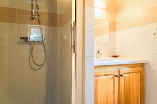 a bathroom with a shower and a sink at Gîte Gîte 2/4 personnes à La Grandville in La Salle-Prunet