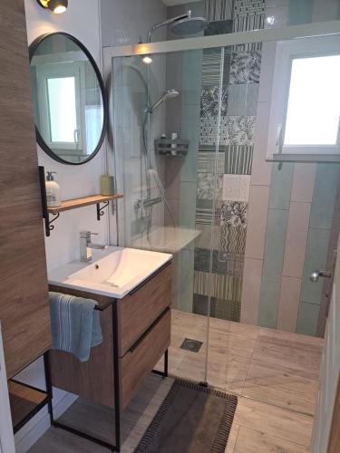 une salle de bain avec un lavabo et une douche avec un miroir dans l'établissement Chambre d hôte la rivière 45m2 jardin et piscine, à Aigrefeuille-dʼAunis