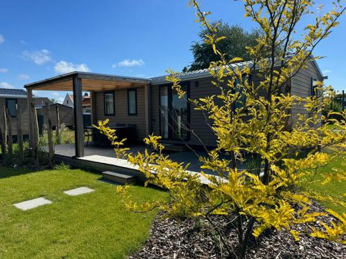 a house with a tree in the yard at Parador Hippodroom in Bredene