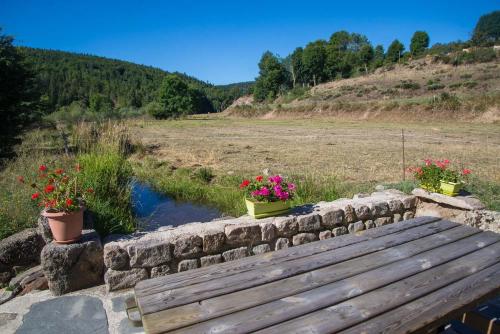 Gallery image of Gîte Le Moulin de la Vaissière 5/6 personnes in Pierrefiche