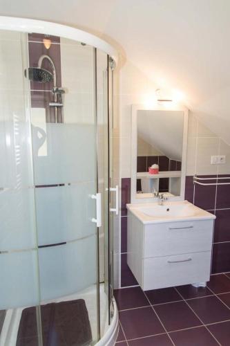 une salle de bain avec un lavabo et une douche en verre dans l'établissement Gîte Le Moulin de la Vaissière 5/6 personnes, à Pierrefiche