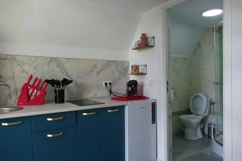 a kitchen with blue cabinets and a sink and a toilet at Căsuțele Denis&Lucas in Ocna Şugatag