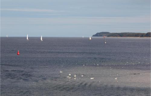 a large body of water with sail boats in it at Priwallpromenade 3, Whg 11 in Priwall