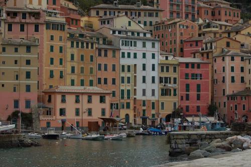 a group of buildings with boats in the water at attico spettacolare vista mare in Camogli