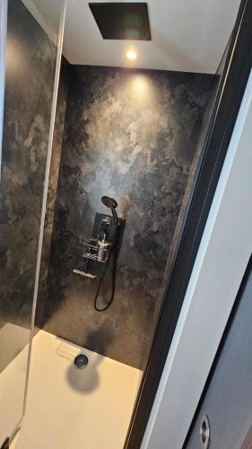 La salle de bains est pourvue d'une douche avec un mur noir. dans l'établissement Studio Les Deux Grenouilles 5mn de Colmar, à Herrlisheim-près-Colmar