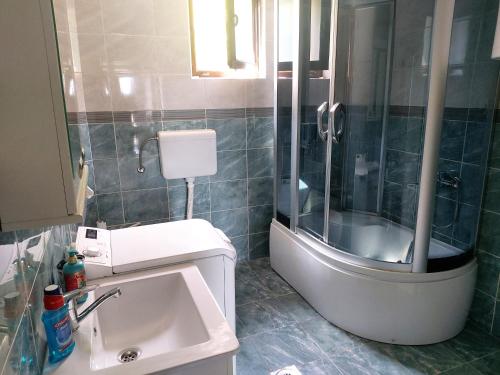 a bathroom with a shower and a toilet and a sink at LB boka 216 in Mali Mokri Lug