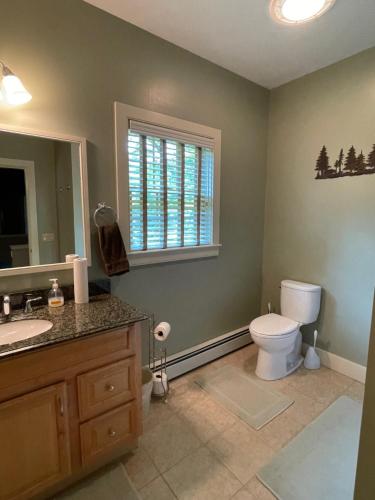 a bathroom with a toilet and a sink and a window at The Snowed Inn in Killington