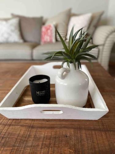 a potted plant in a tray on a table at Seaside Chic! Modern Cosy Home in Lahinch