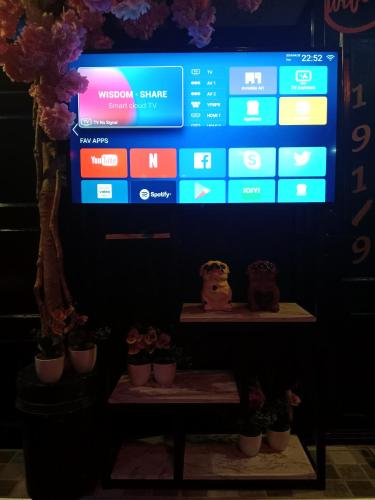 a large screen with potted plants in front of a tv at STPhostel in Patong Beach