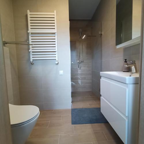 a bathroom with a toilet and a sink and a shower at Willa na Orlej in Giewartów