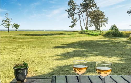 two glasses of wine sitting on a table in front of a field at Holiday Home Flejmose Sydals X Denmark in Kegnæshøj