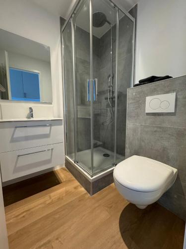 une salle de bain avec une douche, des toilettes et un lavabo dans l'établissement M72 Marquer Studio centre ville d'Annemasse, à Annemasse