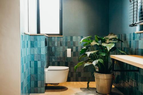 a bathroom with a toilet and a plant in it at Madame Crepin in Rochefort