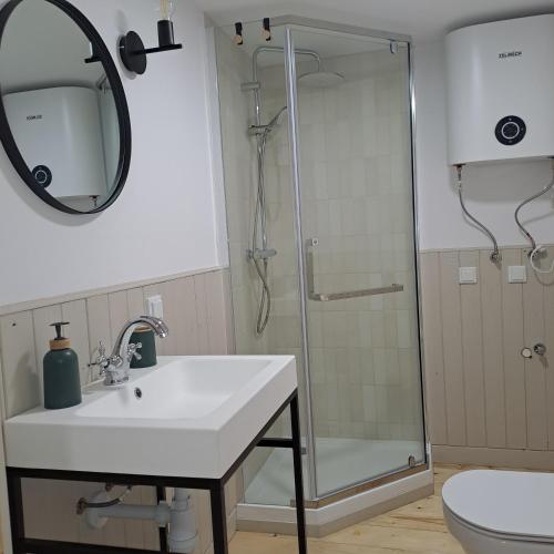 a bathroom with a sink and a shower at Domek nad Kanałem Augustowskim Stanica Wodna PTTK Płaska in Płaska