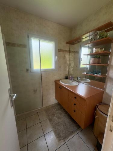 a bathroom with a sink and a shower at Maison d'architecte in Cébazat