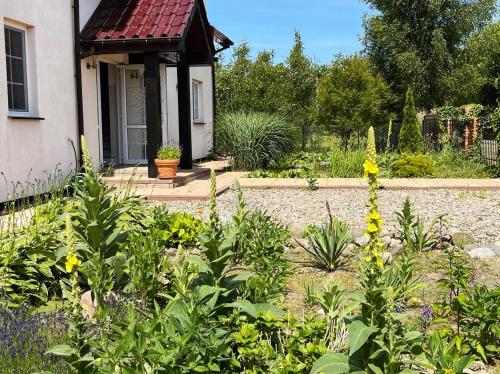 Pokoje gościnne Neptunia