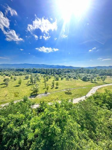 an overhead view of a field with trees and a road at Spa Hotel Alpin in Solotvyno