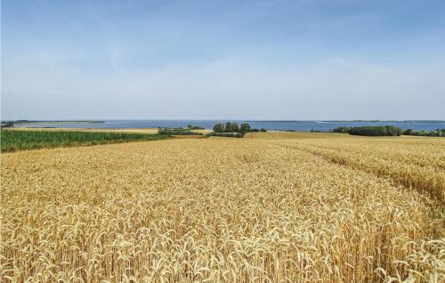 a large field of wheat with the ocean in the background at Two-Bedroom Apartment In Boiensdorf in Boiensdorf