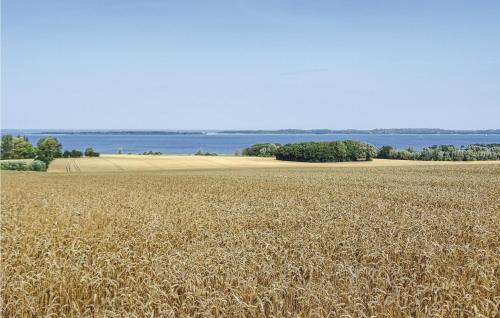 a field of wheat with the ocean in the background at Two-Bedroom Apartment In Boiensdorf in Boiensdorf