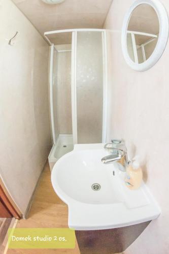 a bathroom with a sink and a mirror at Ambasadorówka in Solina