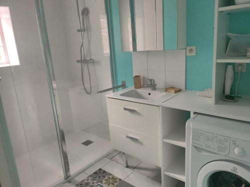 a bathroom with a shower and a sink and a washing machine at Tresor de Beaurains in Beaurains