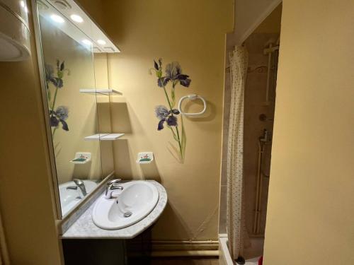 La salle de bains est pourvue d'un lavabo et d'un miroir avec des fleurs sur le mur. dans l'établissement Appartement proche de la mer - Narbonne 4MED326, à Narbonne-Plage
