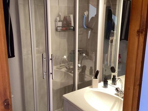 une salle de bain avec douche et lavabo dans l'établissement Agréable 3 Pièces avec Balcon et Cave au Col du Corbier - FR-1-573-125, à Le Biot