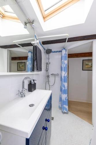 une salle de bain avec un lavabo et une douche dans l'établissement Appartement de Caractère T5 en Hypercentre, à Toulouse