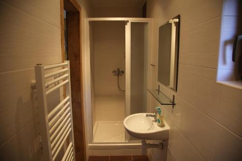 a small bathroom with a sink and a shower at Les Park Vřesovice in Vřesovice