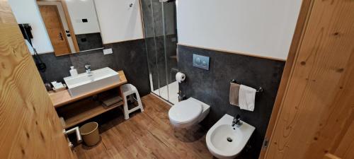 a bathroom with a white toilet and a sink at La Campagnola in Canazei