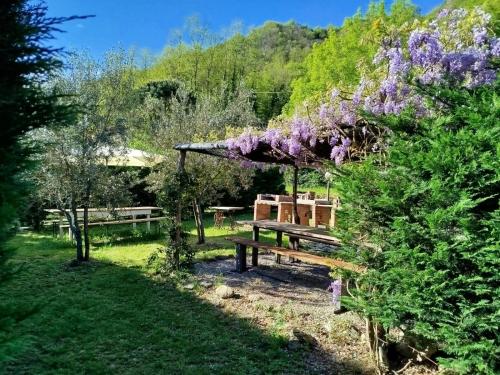Taman di luar Casa La Rosa