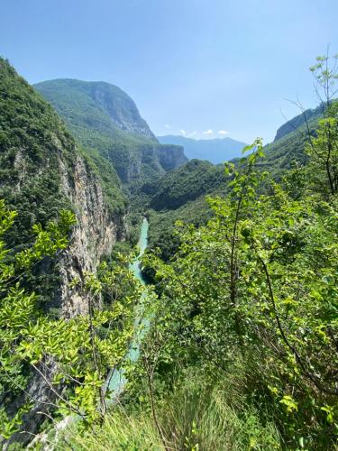 a view of a river in a mountain valley at Pedegagia in Vezzano
