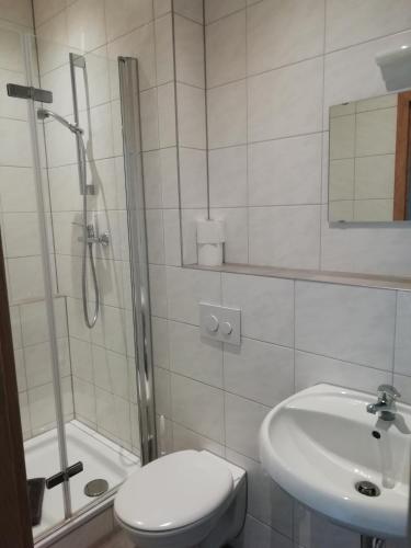 a bathroom with a shower and a toilet and a sink at Zum Schulhaus in Burglengenfeld