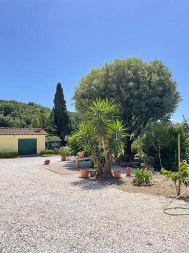 Taman di luar Il Leccio Agriturismo