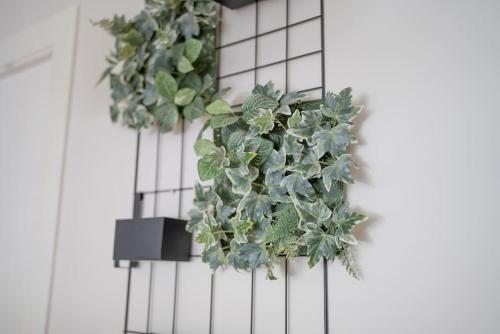Apartment Nova