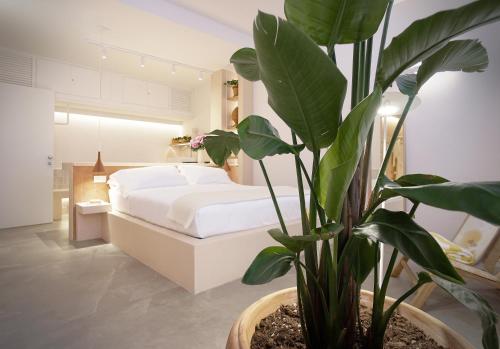 allegra suites photo 2