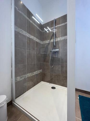 a shower with a glass door in a bathroom at Maison La vieille vigne in Dieulefit