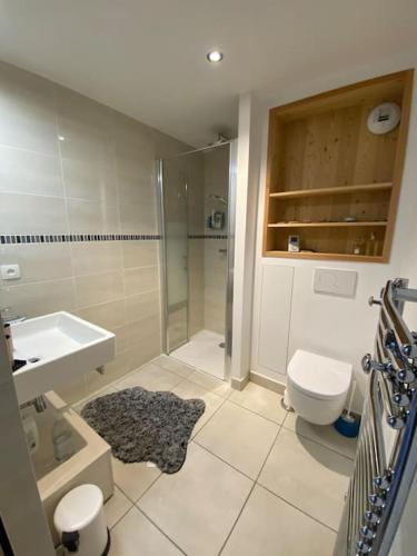une salle de bain avec un lavabo, des toilettes et une douche dans l'établissement Le Lion d'Or 6, joli T3 en plein centre de Châtel - Multipass inclu, à Châtel
