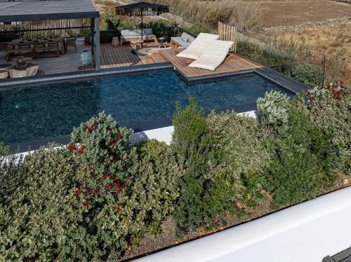 a garden with a swimming pool and some plants at Asty Mykonos Hotel & Spa - World of One Hotel Group in Mýkonos City